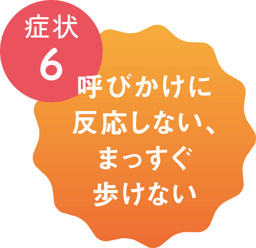 症状6 呼びかけに反応しない、まっすぐ歩けない