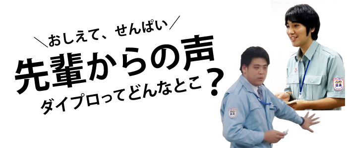 先輩からの声　ダイプロってどんなとこ？
